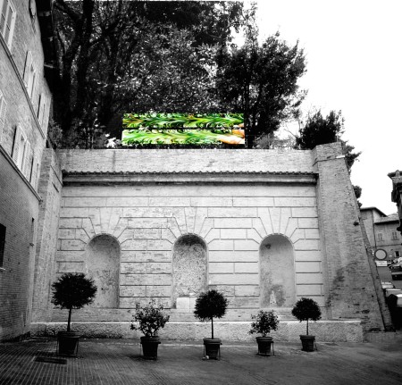 Durchstrichenes Gras