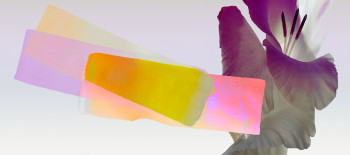 20260217