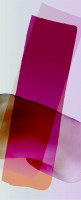 akt und farbe