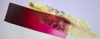farbe und blatt