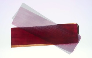  dsc0300 ohne rahmen1