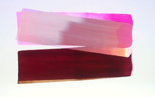  dsc0301 ohne rahmen116