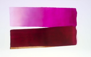  dsc0307 ohne rahmen1